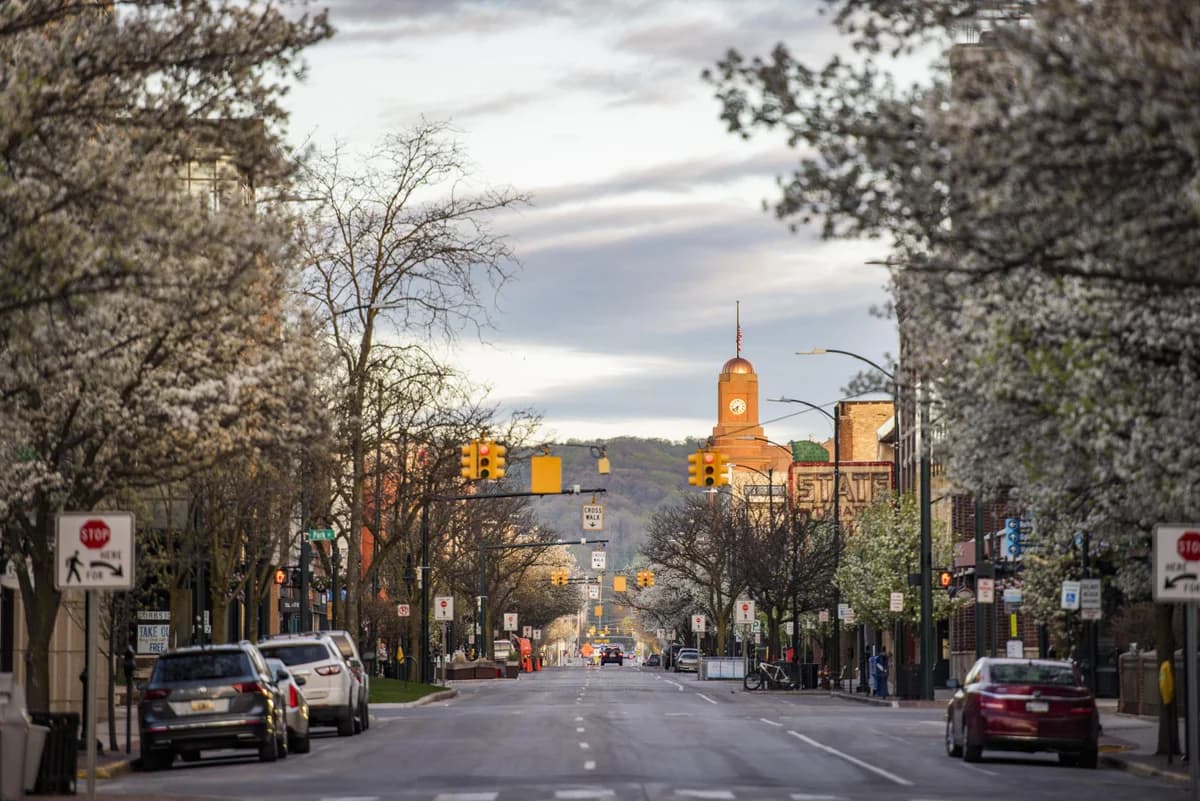H Studio |Close to Downtown|Beaches|Wineries photo 43