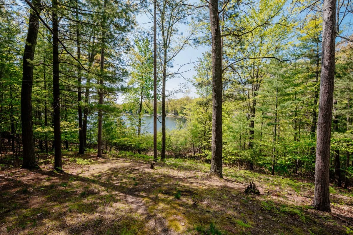 Lake Front| Fishing | All Sports | Bass Lake Sanctuary photo 73
