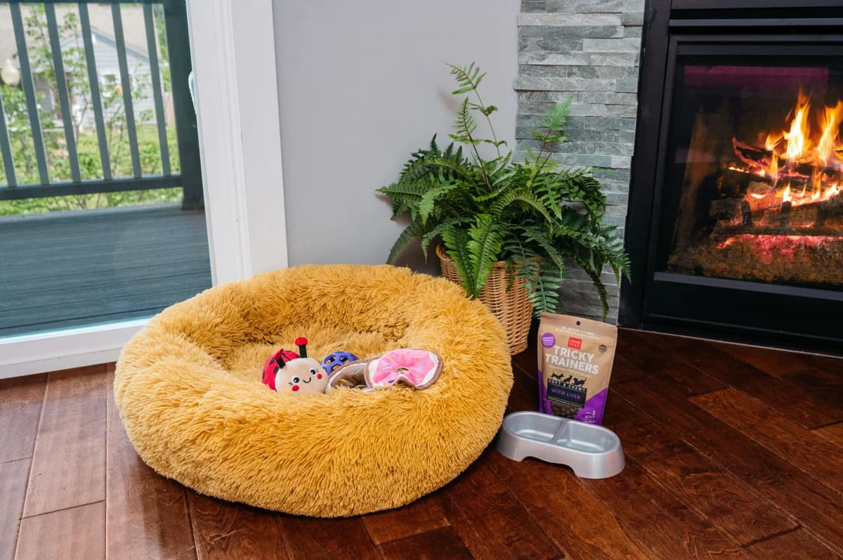The Emerald Nest | 3BR Townhome |Near Downtown |Beach |Wineries photo 4